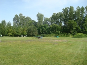 trap_fields